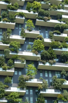 Immagine di Wild city. Biodiversità urbana. Storie di natura urbana	martedì	16.30-18.00	I PERIODO ONLINE Esperti Muse